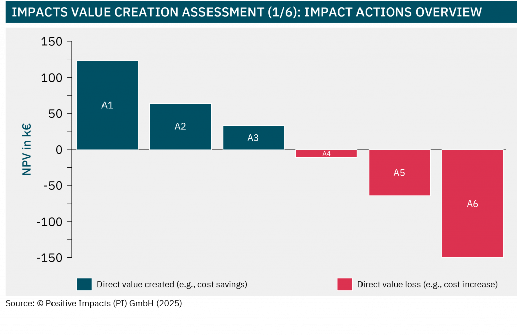 Impacts value creation assessment (1/6): impact actions overview