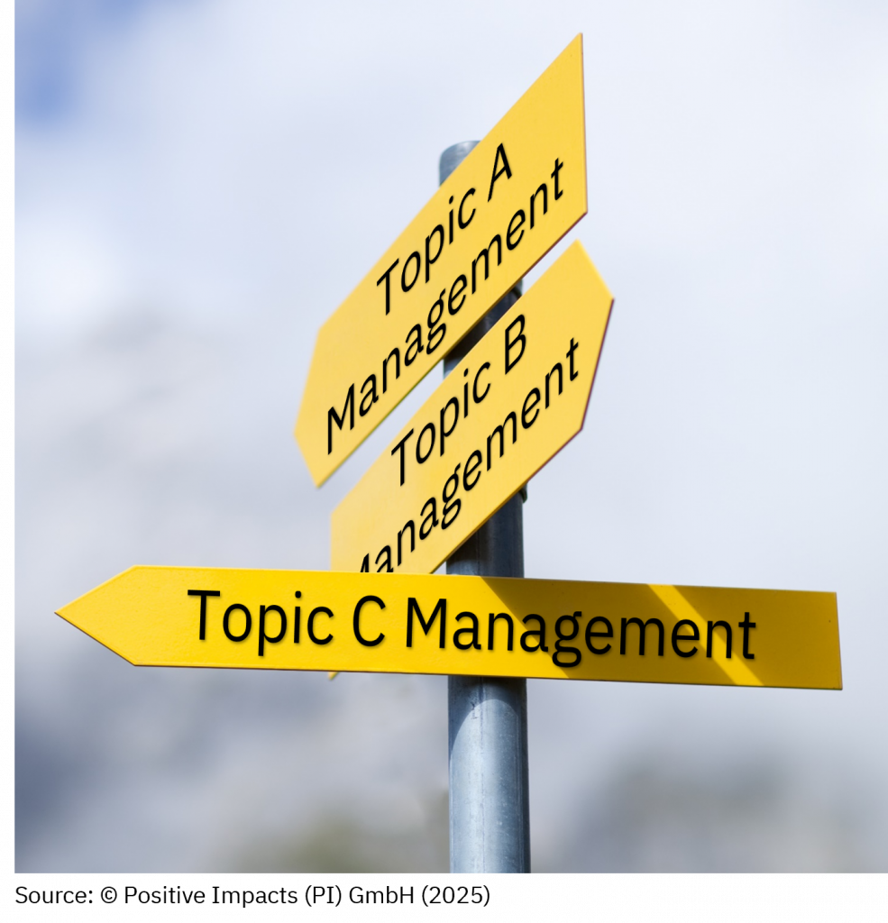 The complex, not always logical and partially inconsistent regulatory requirements could lead to inconsistent management approaches that only cost time and money. We have identified five different strategies (approaches) why the investments into a sustainability management could make business sense, along with five different ways of implementation. Any approach that lacks a clear strategy is doomed to produce only costs and time lost. 