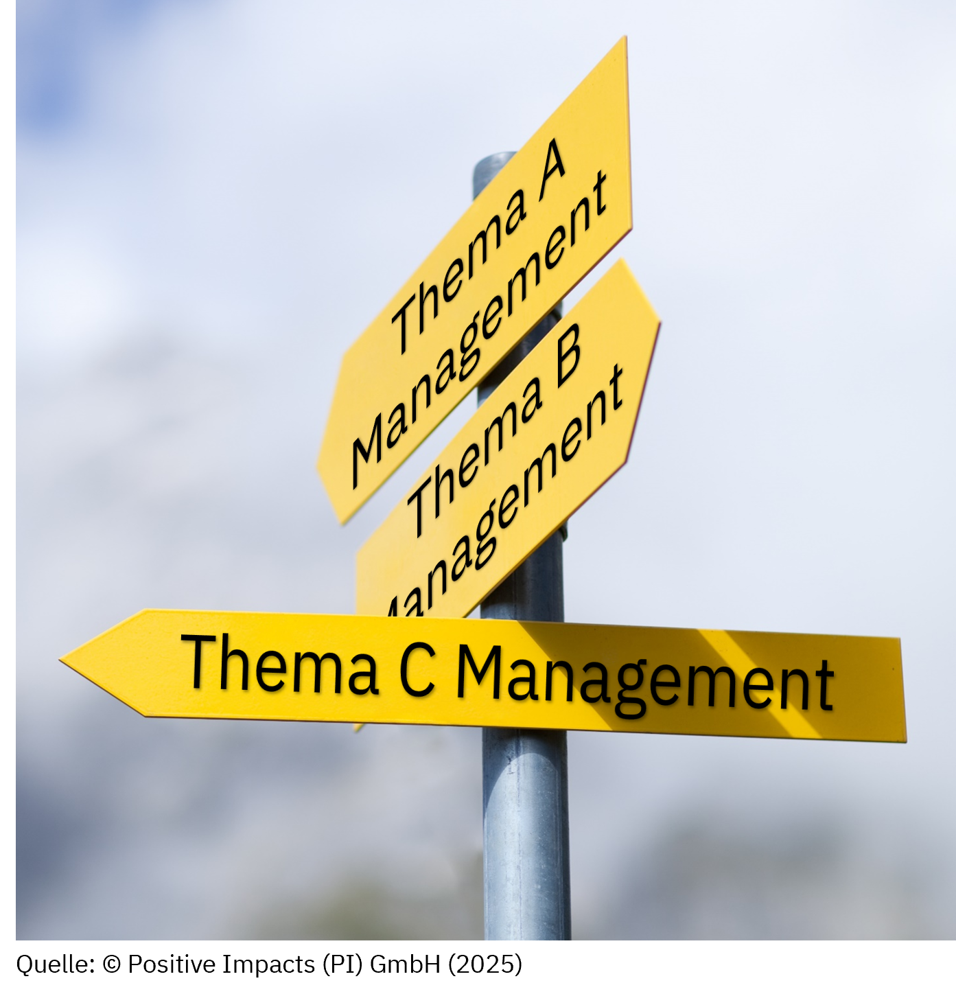 The complex, not always logical and partially inconsistent regulatory requirements could lead to inconsistent management approaches that only cost time and money. We have identified five different strategies (approaches) why the investments into a sustainability management could make business sense, along with five different ways of implementation. Any approach that lacks a clear strategy is doomed to produce only costs and time lost. 
