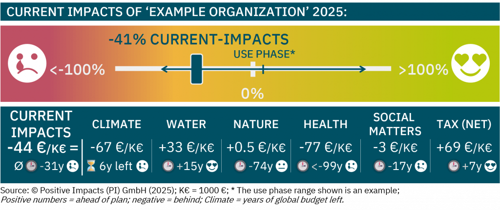The CURRENT Impacts of the example organization show overall negative impacts of -44 €/K€ revenue (-41%), covering operations + upstream for all indicators of the six topics while estimating missing data to ensure a complete picture PI Impact Accounting Framework, Impact Accounting Standard PI Value & Risk Framework, PI Strategy Framework PI Rahmenwerk zur Wirkungsbilanzierung, PI Wert & Risiko Rahmenwerk, PI Strategie Rahmenwerk