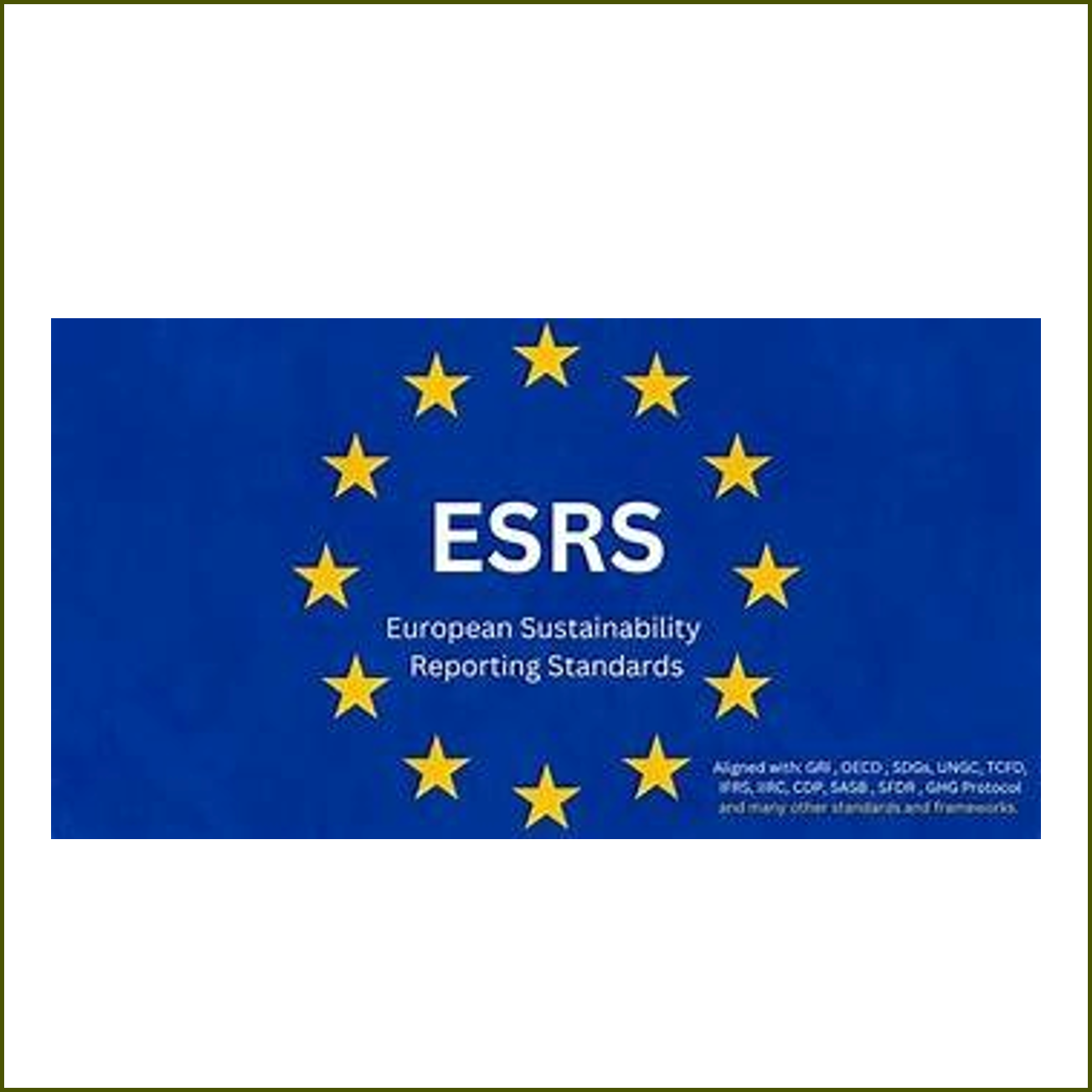 European sustainability reporting standards